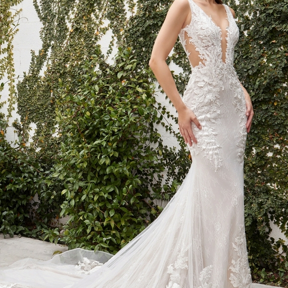 1072 Dresses & Skirts - COPY - Nwt wedding dress evening bridal gown